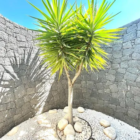 A With Private Pool, Beachfront, Ac, Wifi, Bbq In Villa *